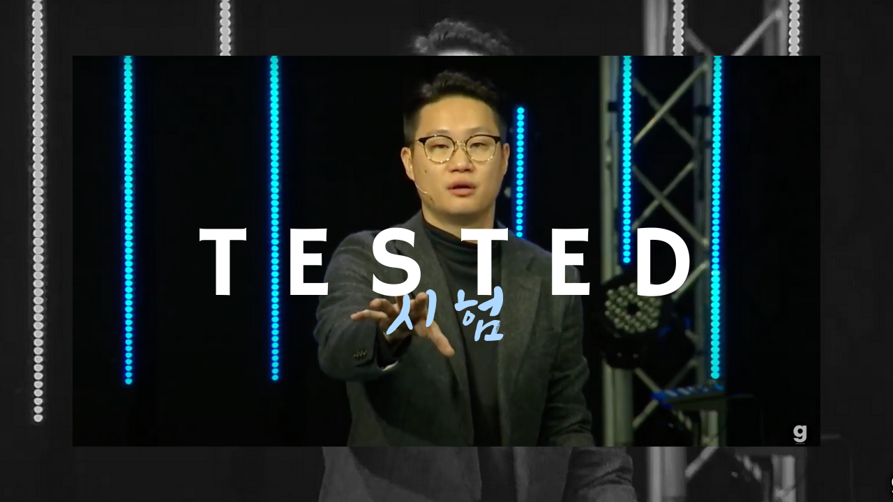 시험중 TESTED (Audio)